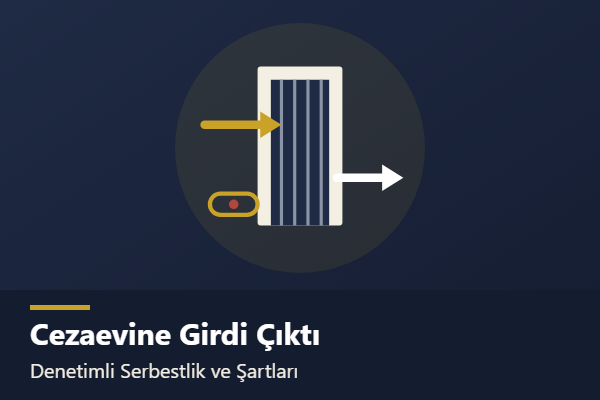 Cezaevine "Girdi Çıktı" Yapmak: Hukuki Anlamı, Şartları ve Güncel Sınırlar konulu yazının görseli
