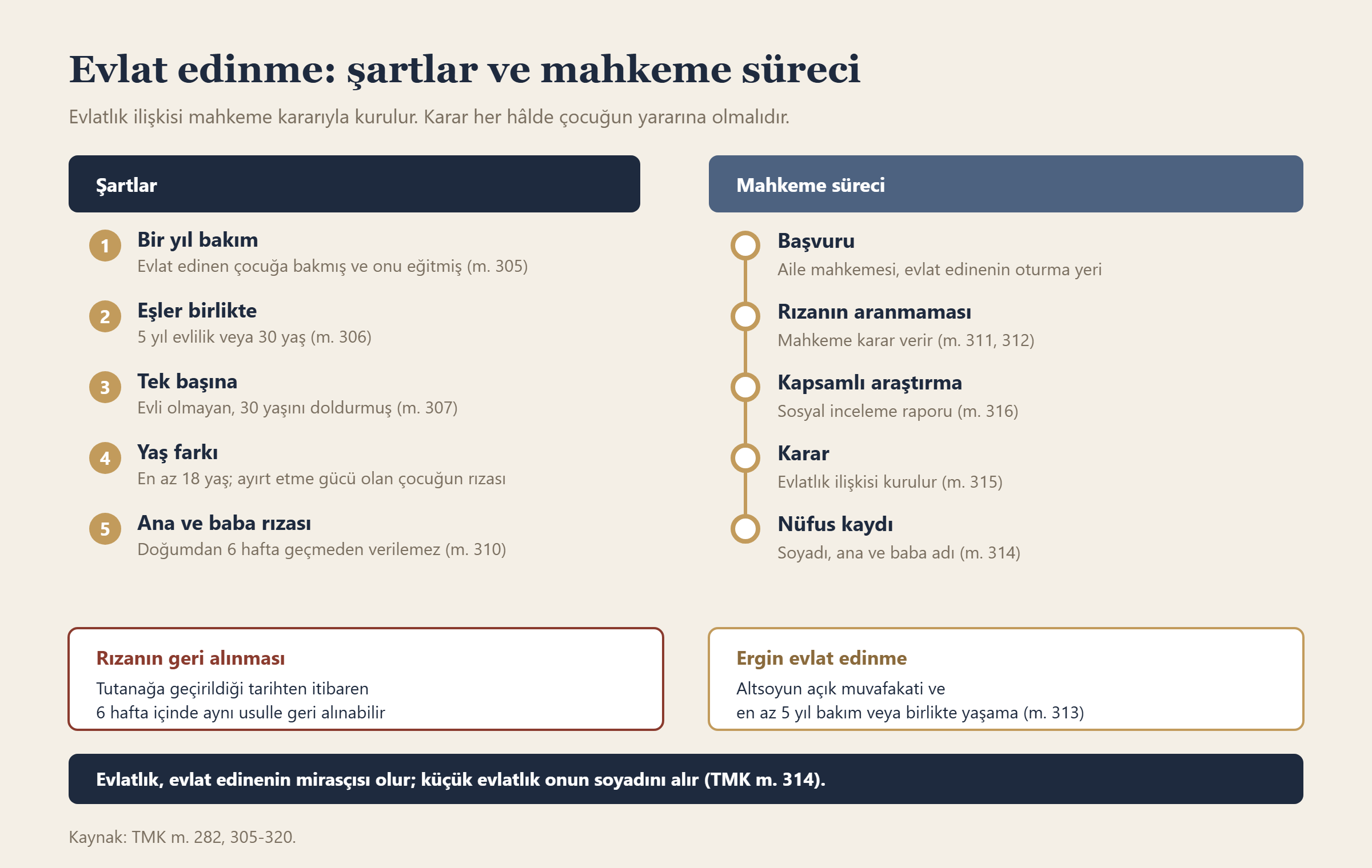 Evlat edinme: şartlar ve mahkeme süreci bilgi grafiği