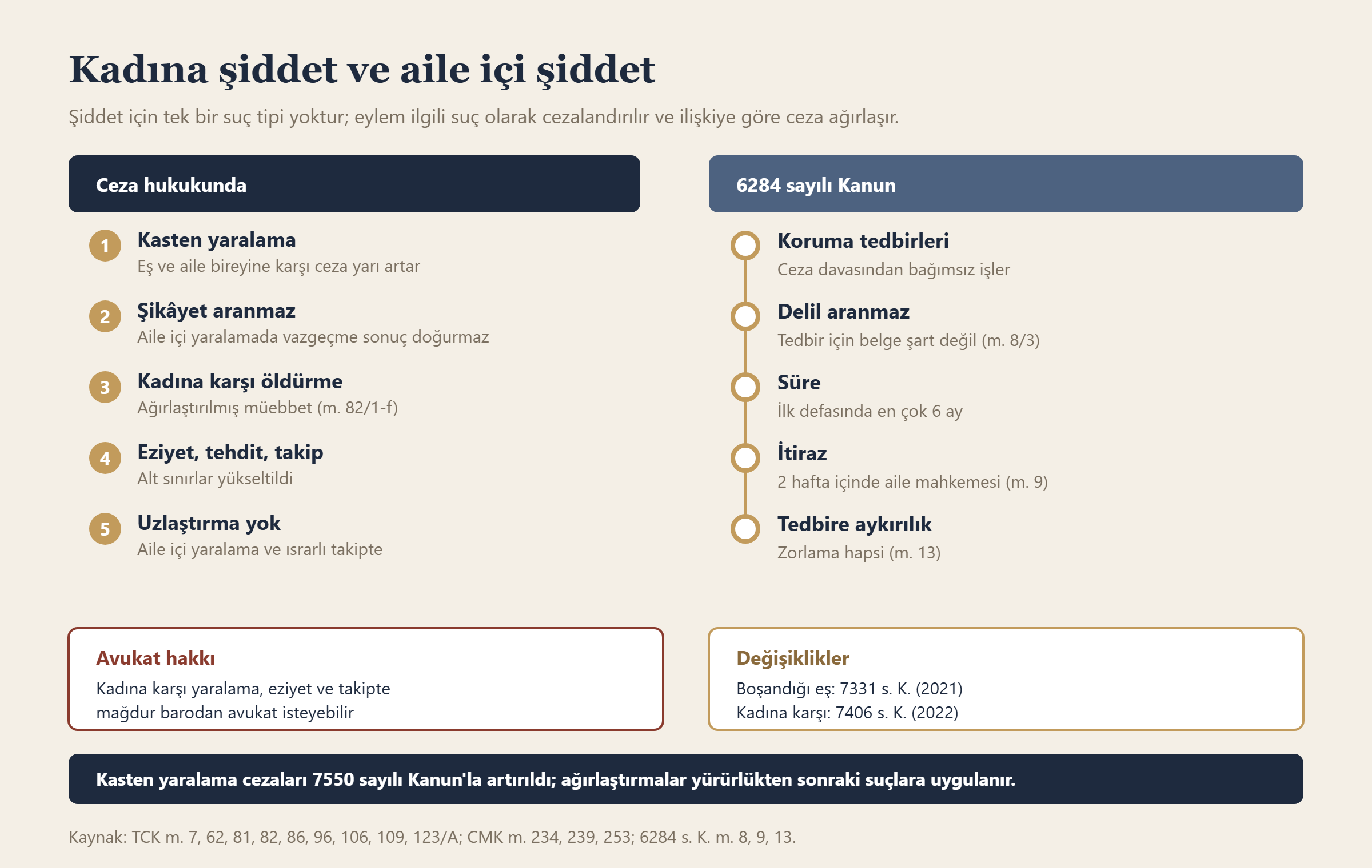 Kadına şiddet ve aile içi şiddet bilgi grafiği