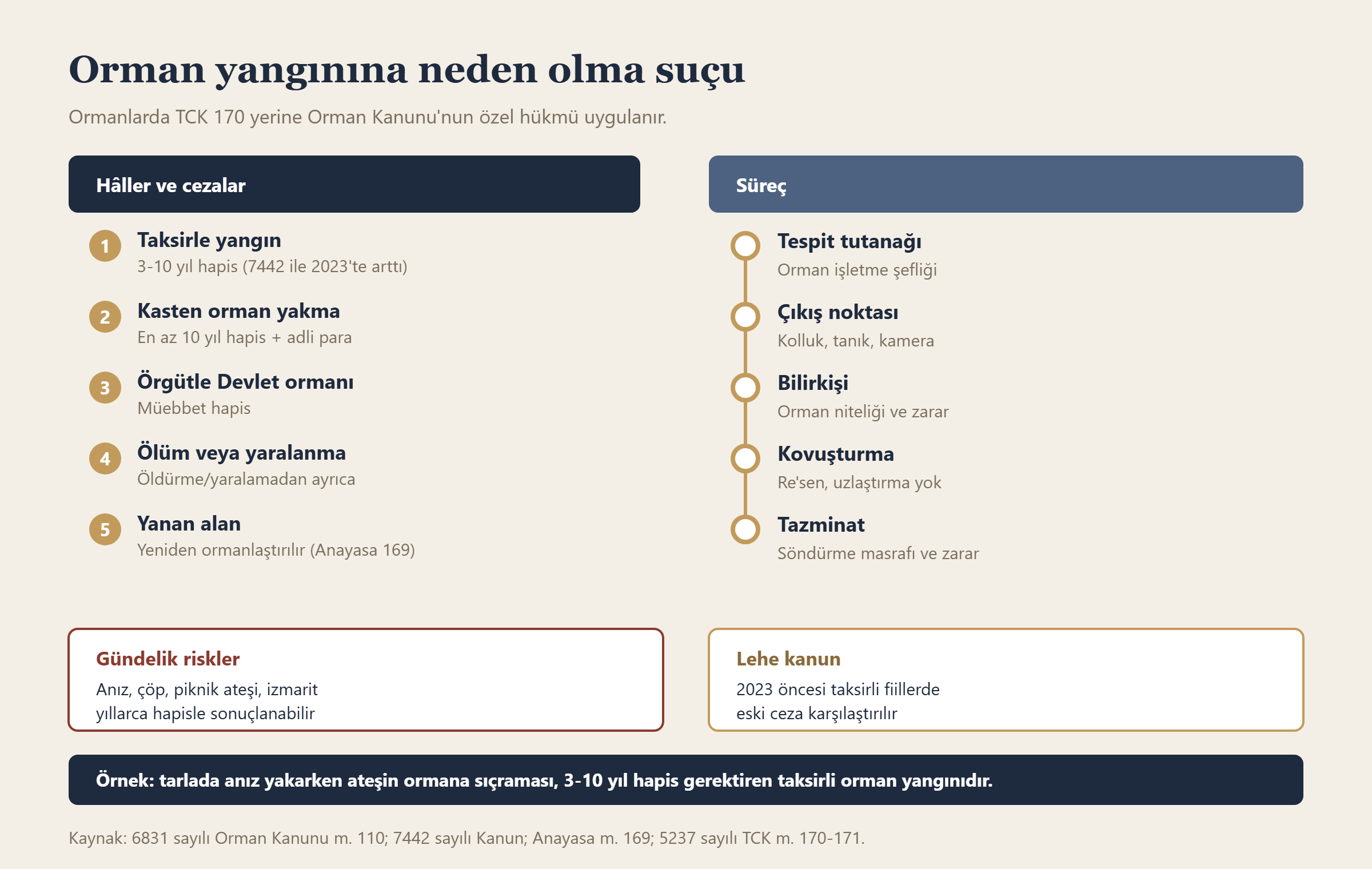Orman yangınına neden olma suçu bilgi grafiği