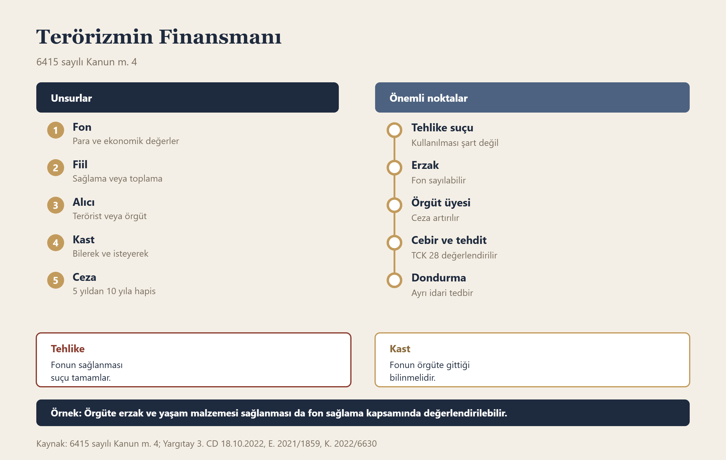 Terörizmin Finansmanı bilgi grafiği